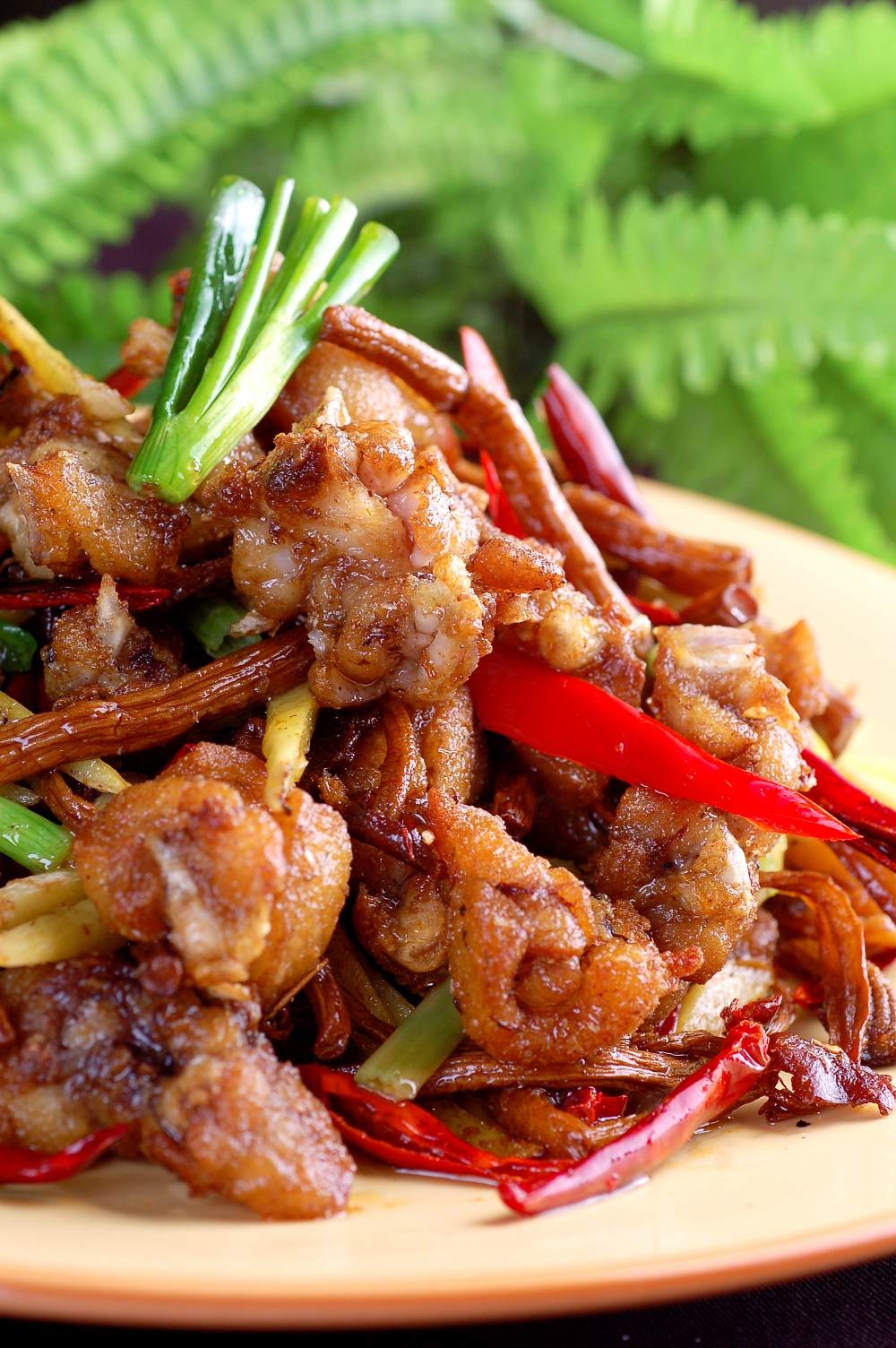 高清图片餐饮美食川菜仔姜茶菇煸美蛙高清图片984