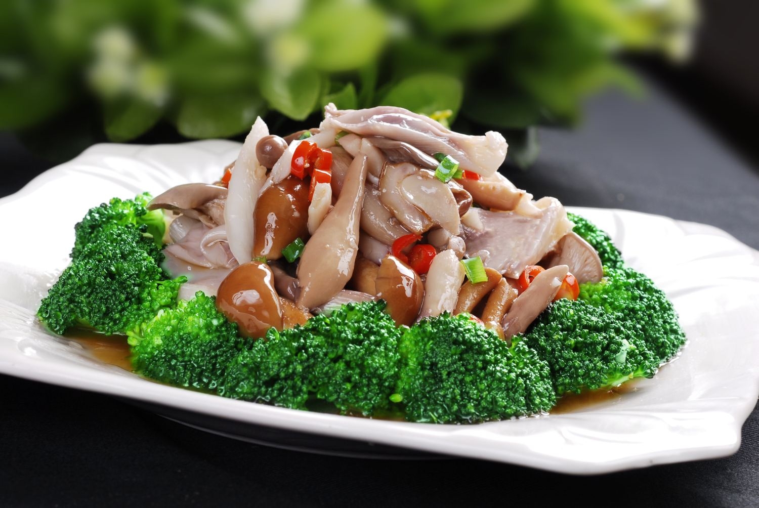 浓汤野生菌高清图片