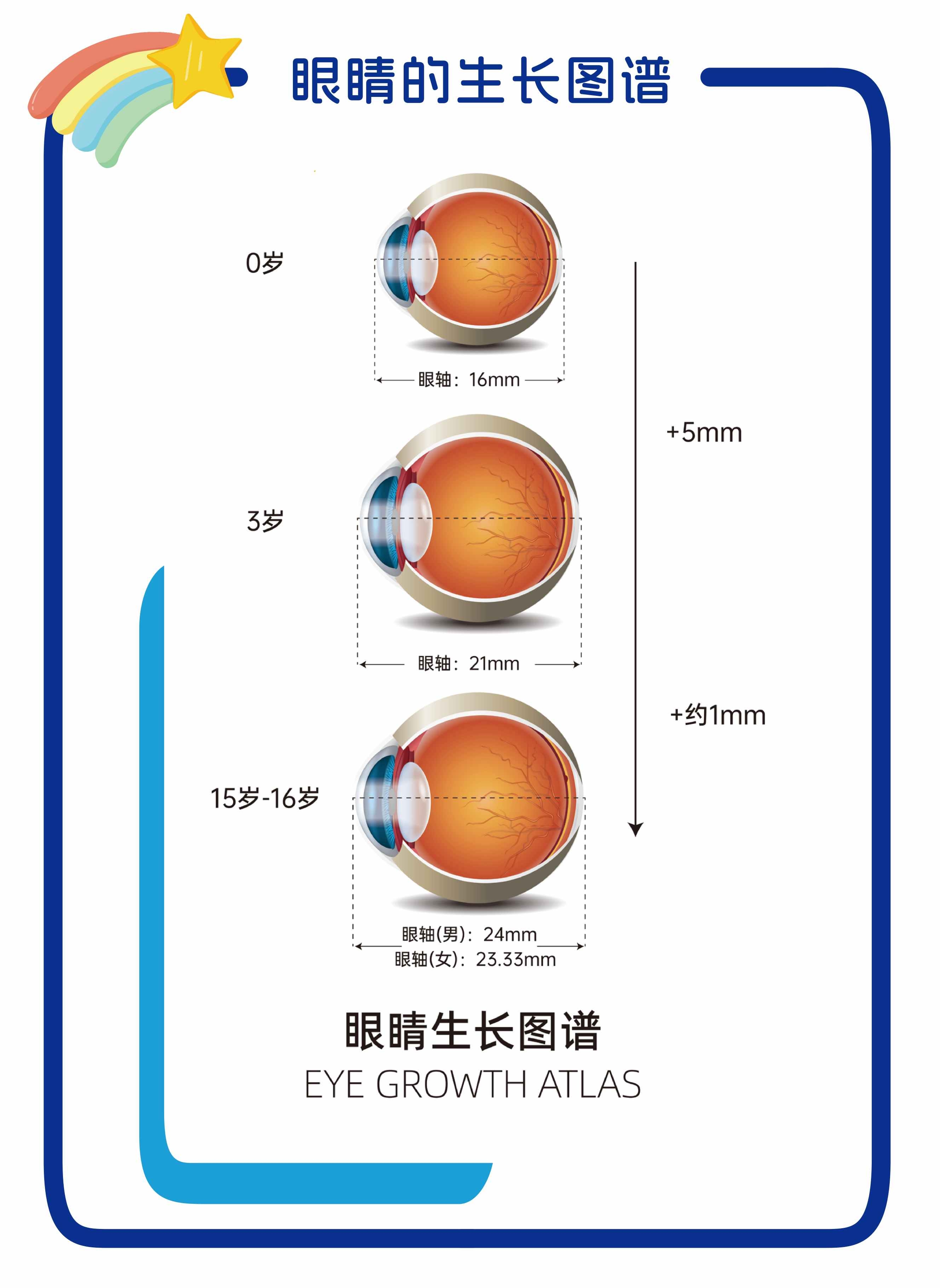 眼轴眼睛生长图谱图片AI素材
