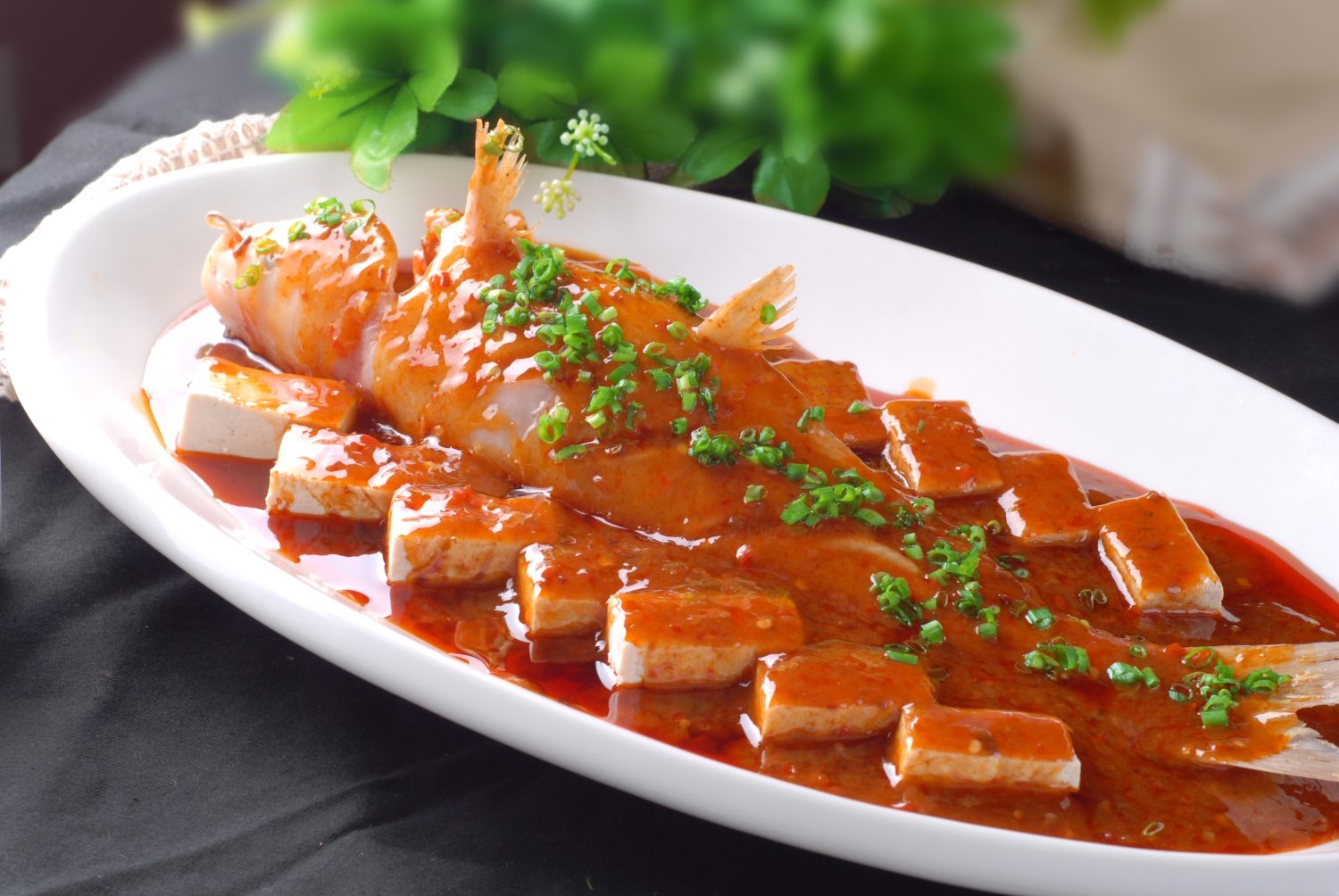 老豆腐烧红沙鱼高清图片