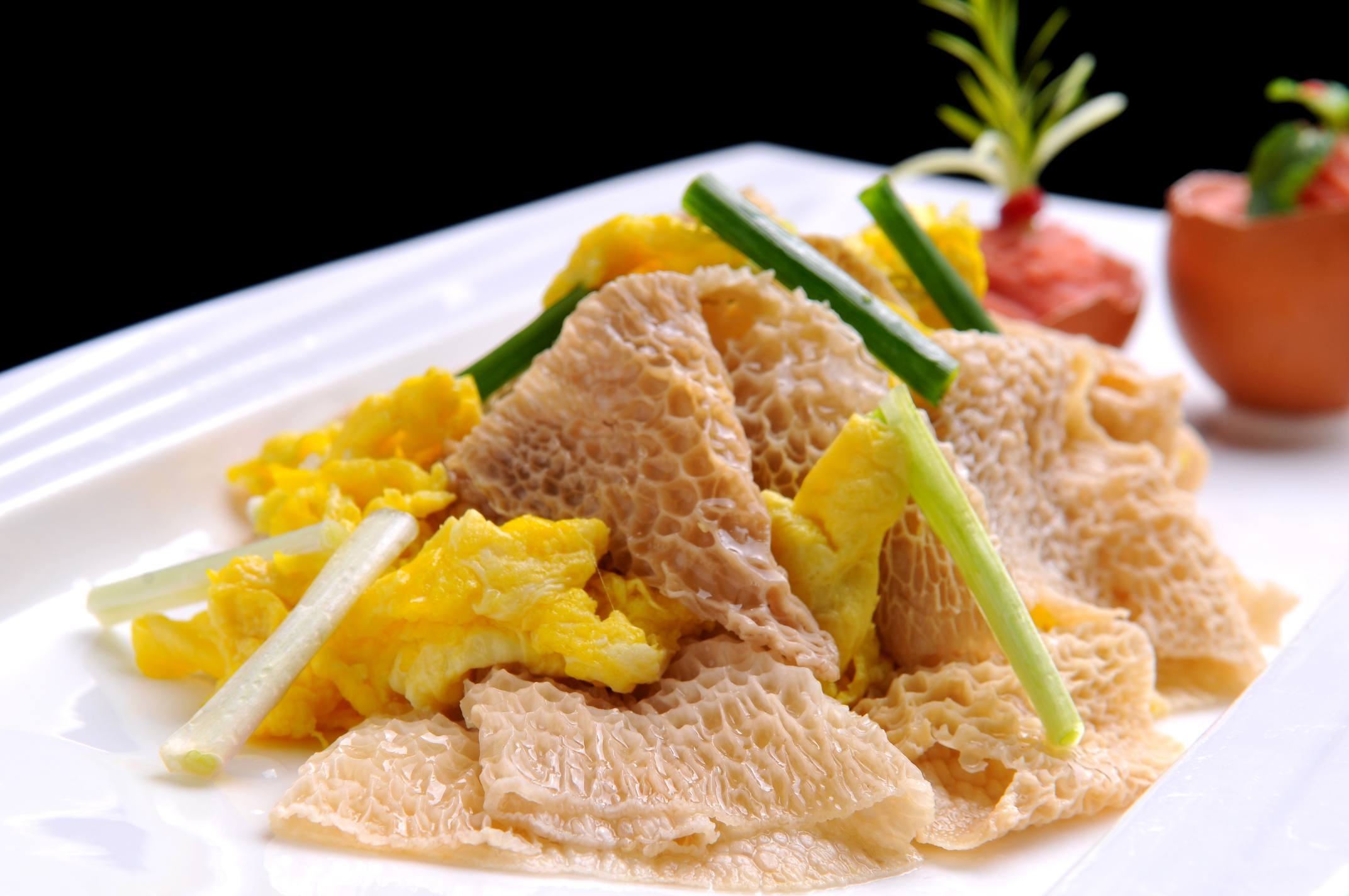 餐饮美食生态蛋炒竹花宣传图片灯箱