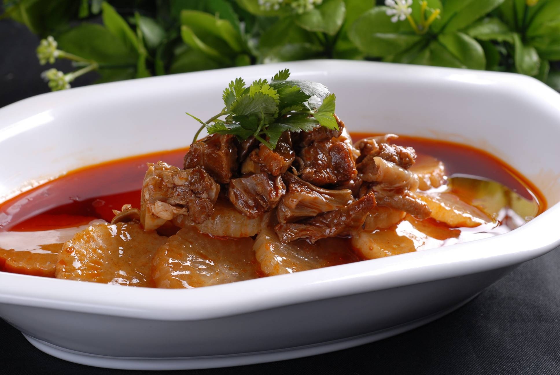 高清图片餐饮美食川菜火烧牛腩高清图片260