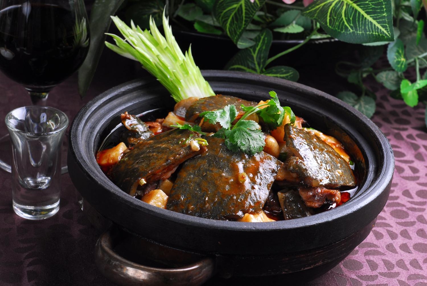 米凉粉烧甲鱼高清图片