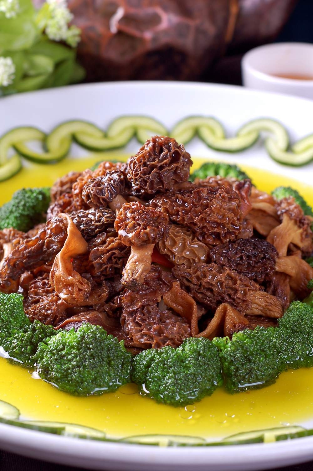 鸡汁羊肚菌高清图片