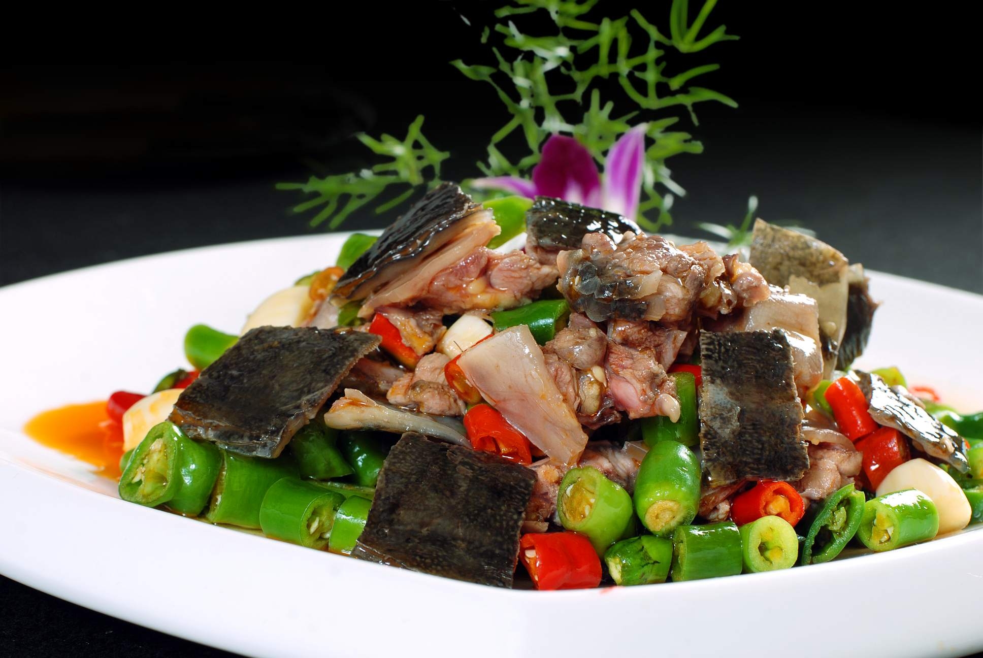 餐饮美食川菜鲜椒甲鱼高清图片