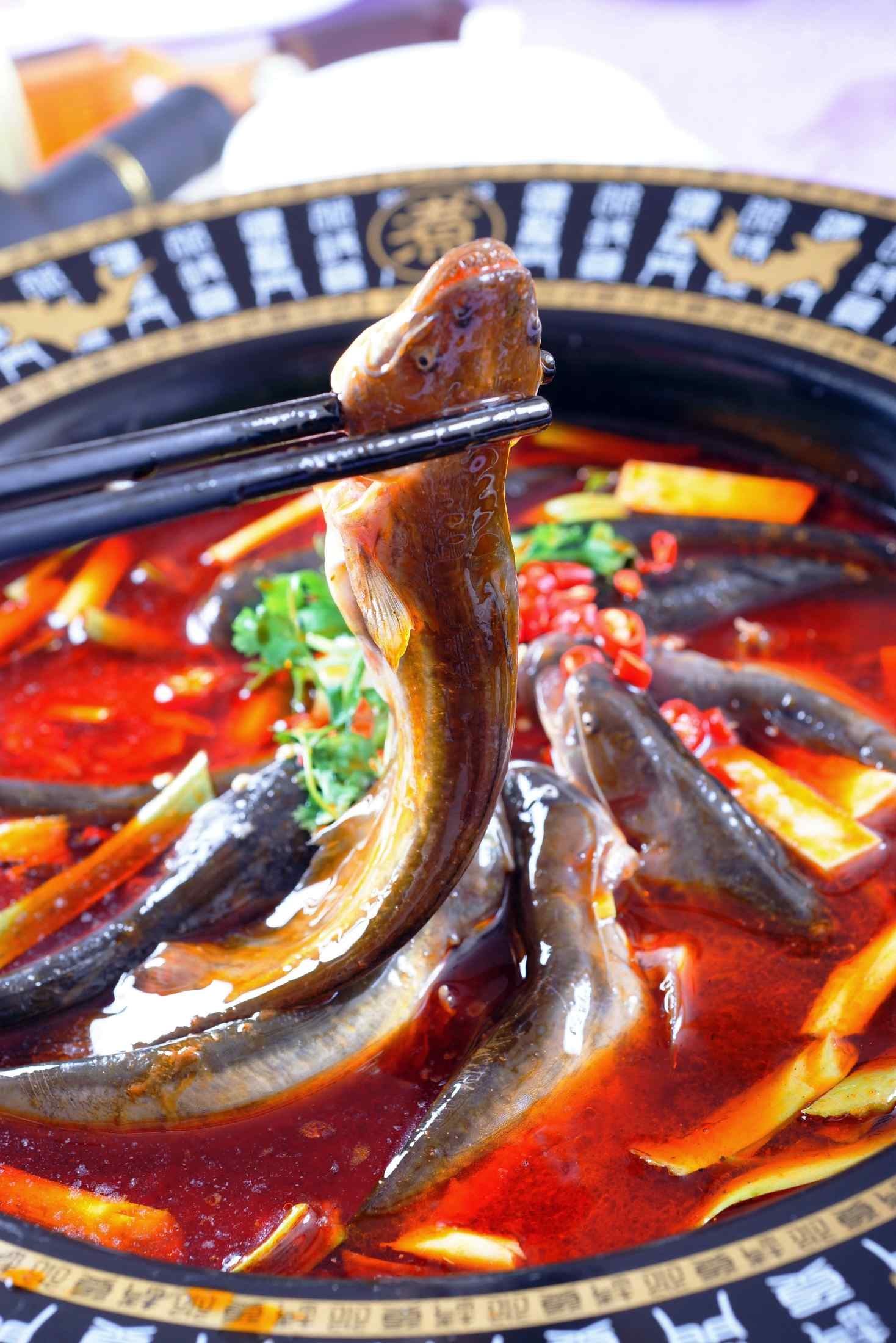 高清图片餐饮美食川菜飘香仔鲢高清图片