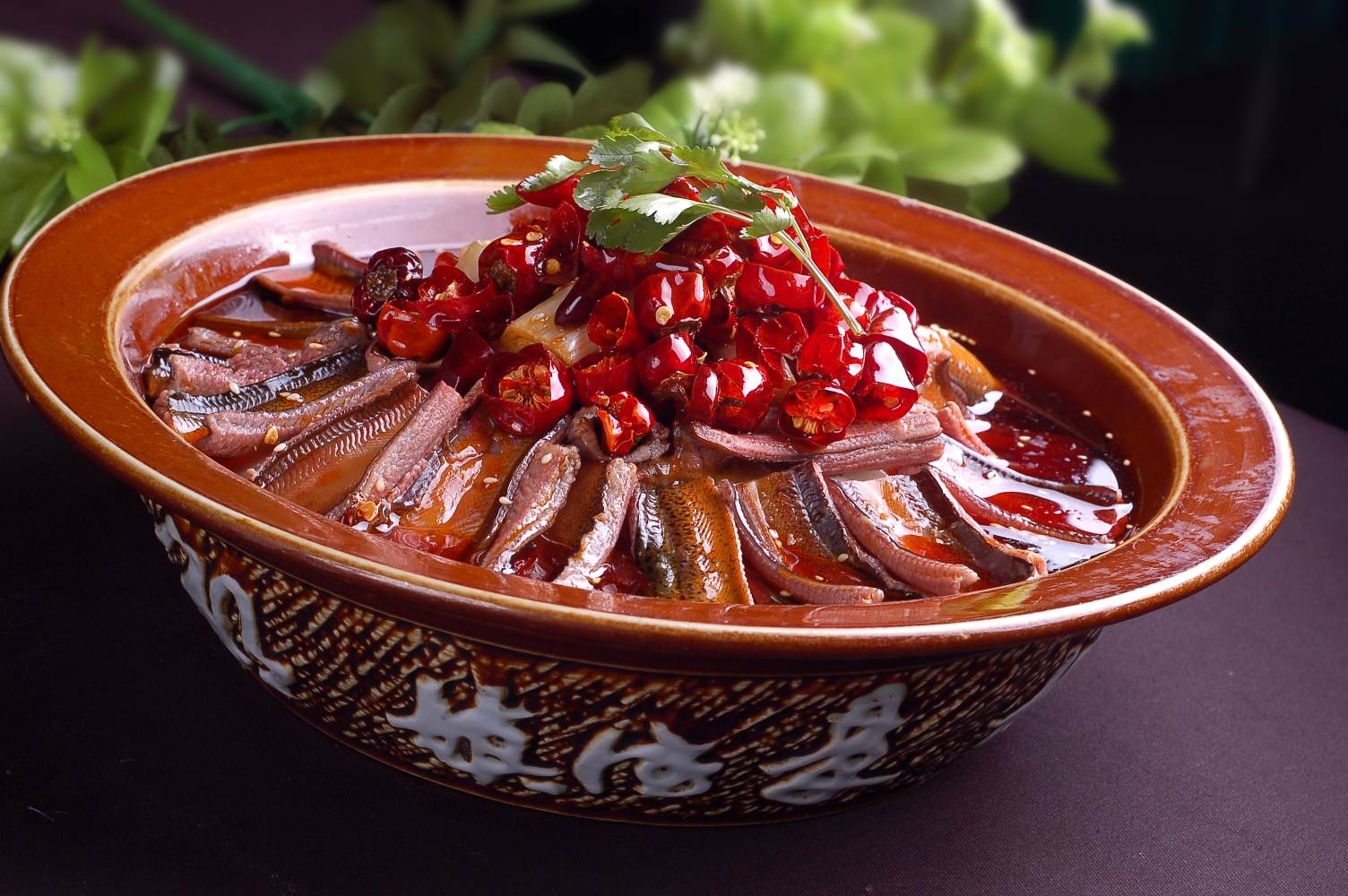 农家土鳝鱼高清图片