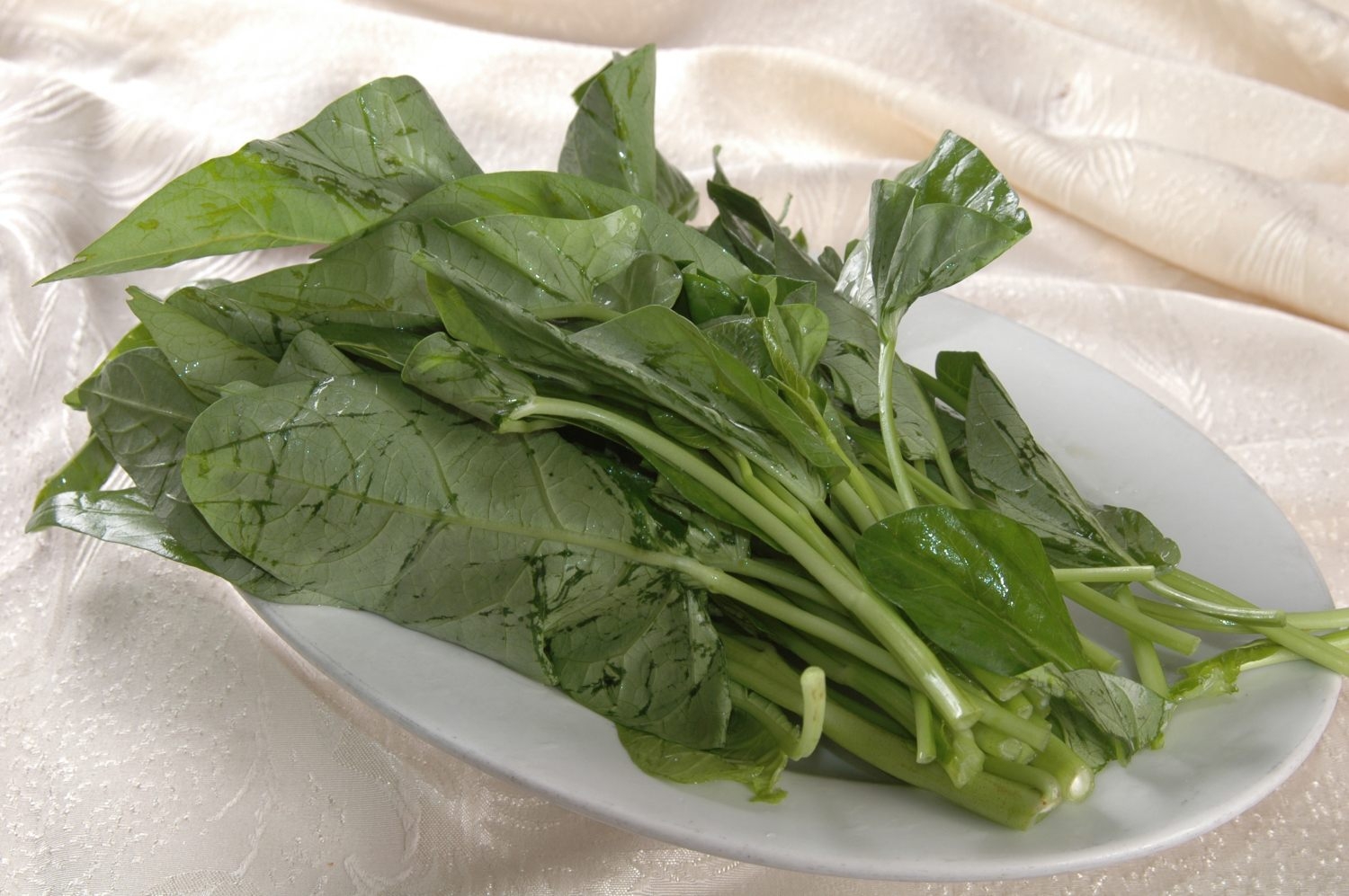 餐饮美食川菜空心菜高清图片