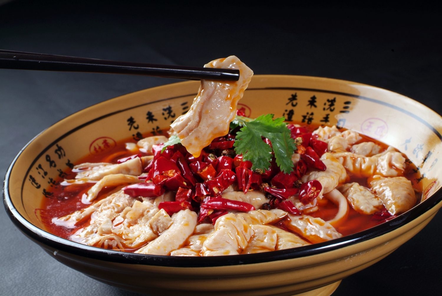 高清图片餐饮美食川菜飘香肥肠高清图片571