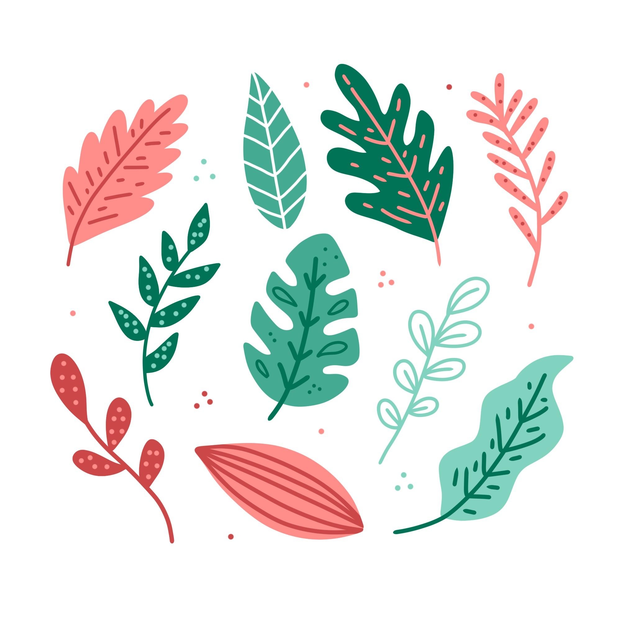 卡通手绘小清新植物树叶元素JPG