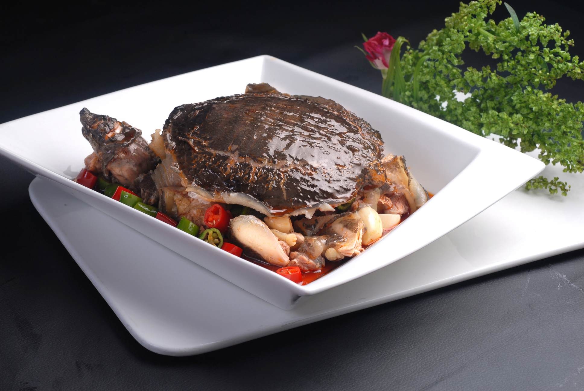 高清图片餐饮美食川菜秘制甲鱼高清图片