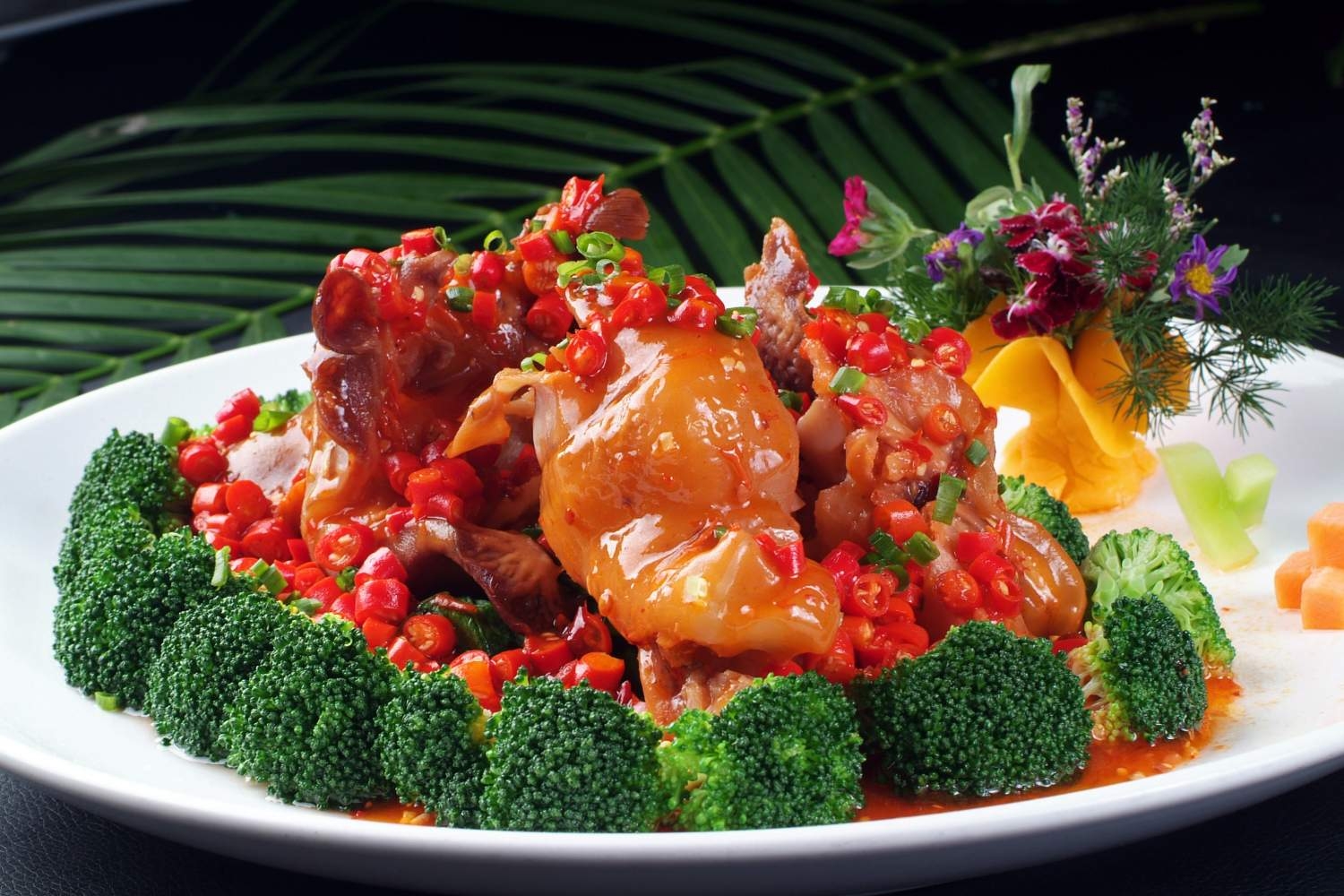 米椒牦牛掌高清图片