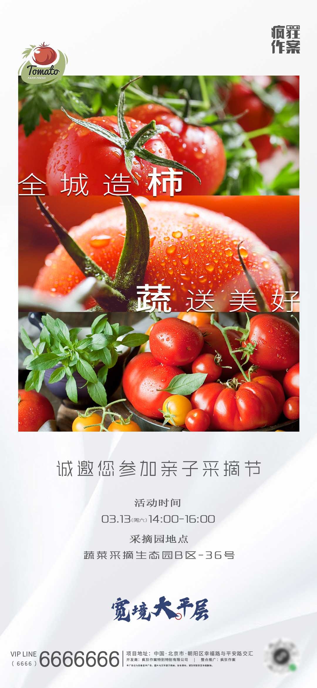 采摘园亲子采摘节蔬菜采摘活动