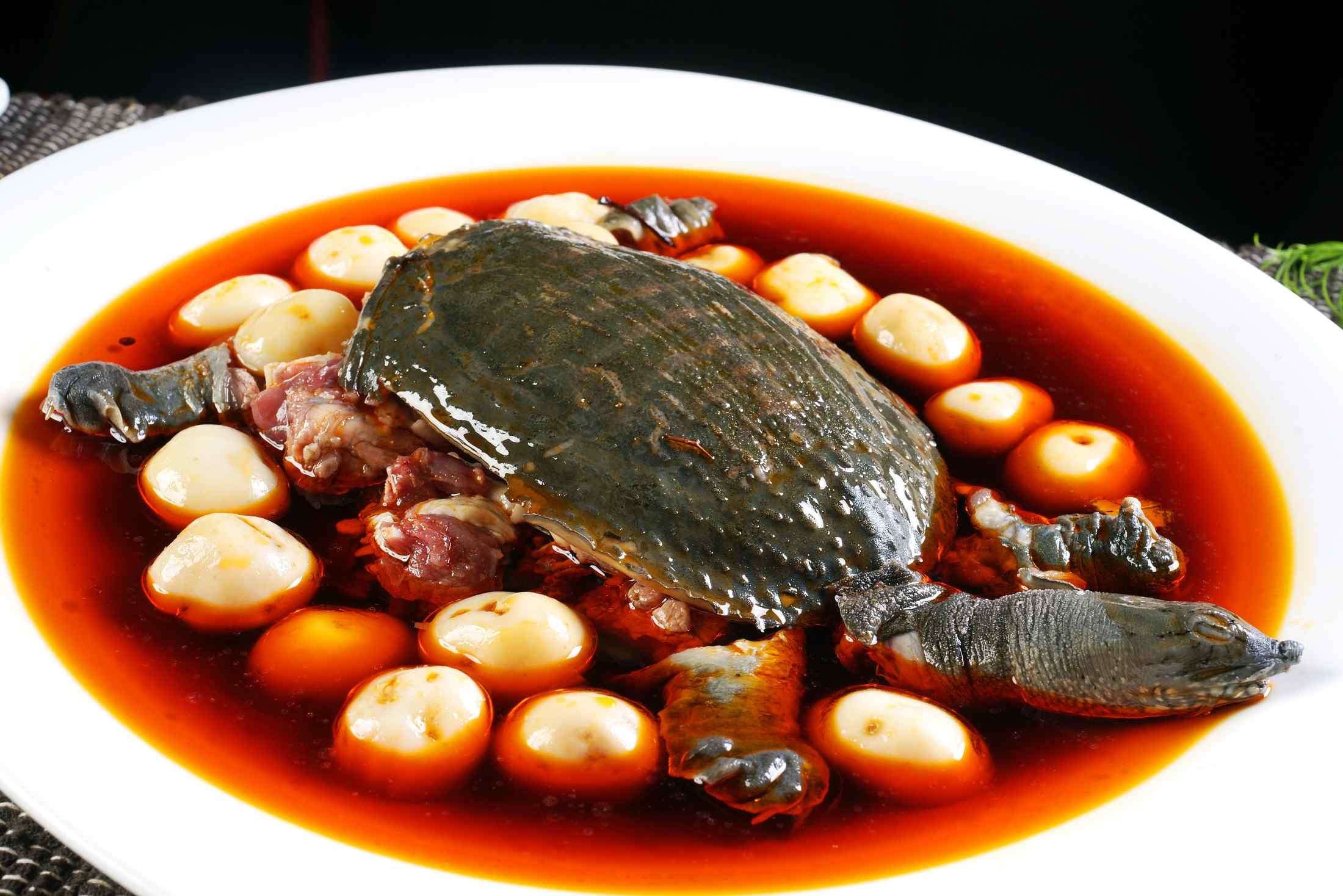 土豆烧野生甲鱼高清图片