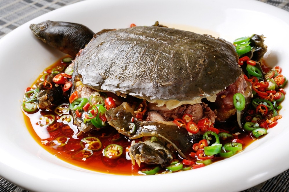 热红烧土甲鱼高清图片