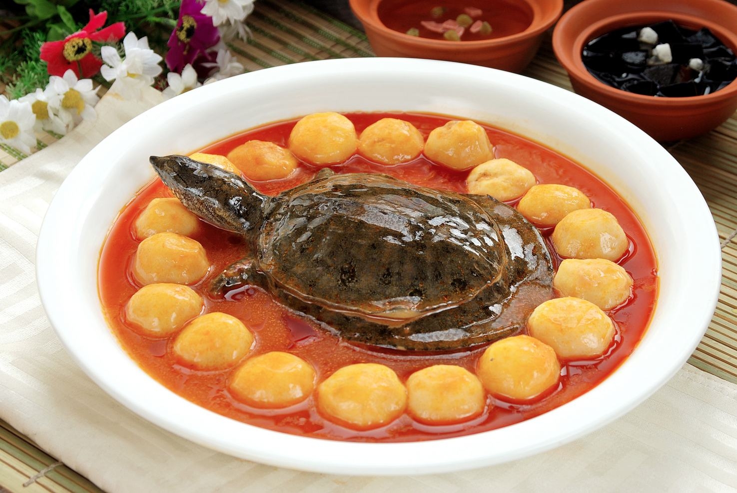 餐饮美食土豆烧甲鱼宣传图片灯箱