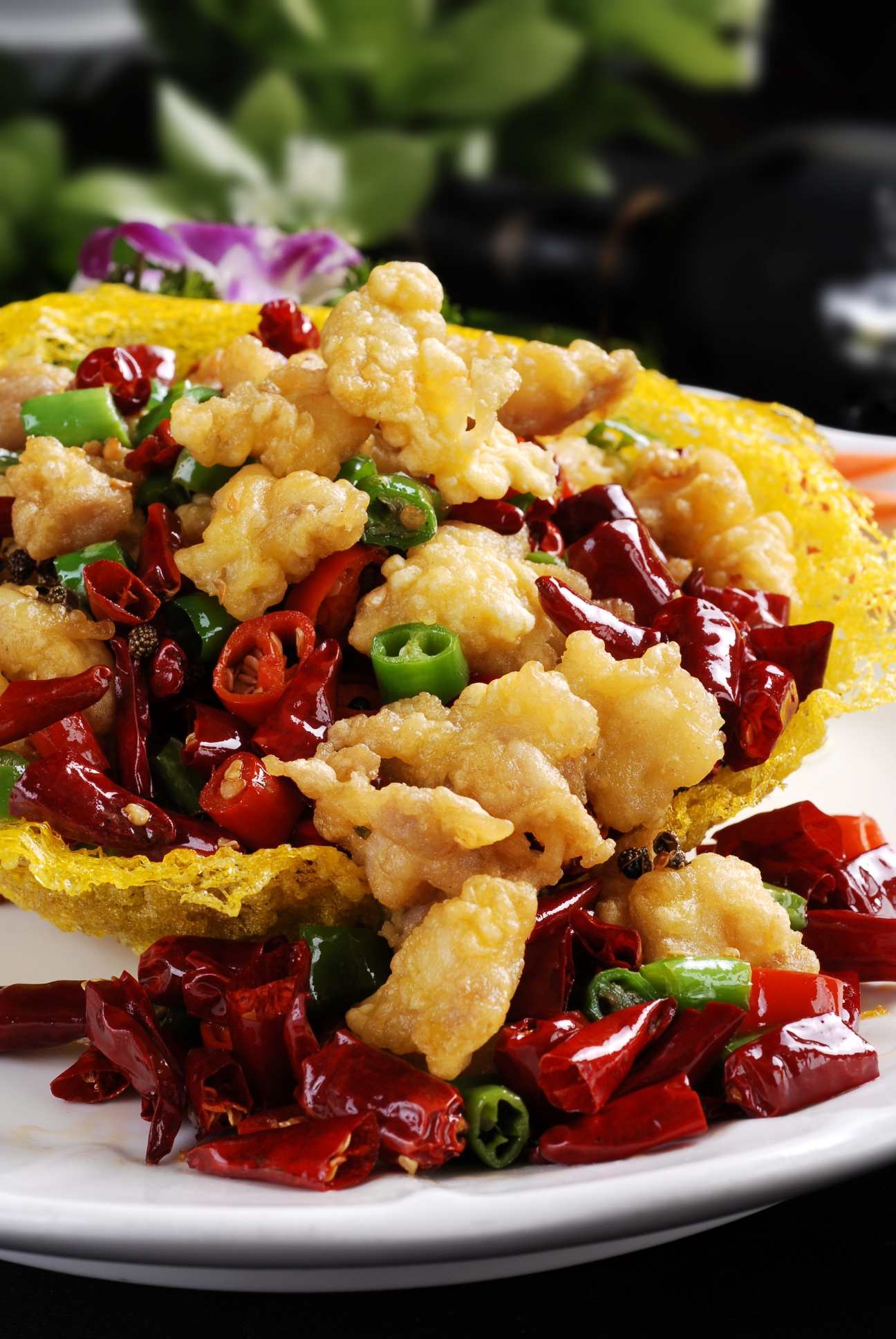 餐饮美食川菜雀巢掌中宝高清图片637