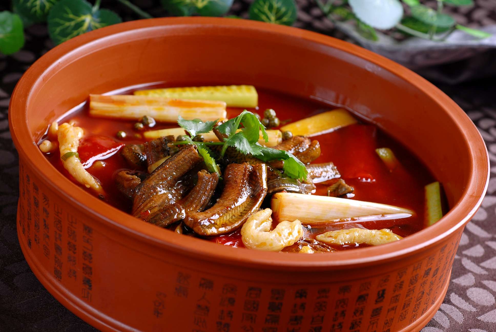 高清图片餐饮美食川菜花椒土鳝段高清图片219