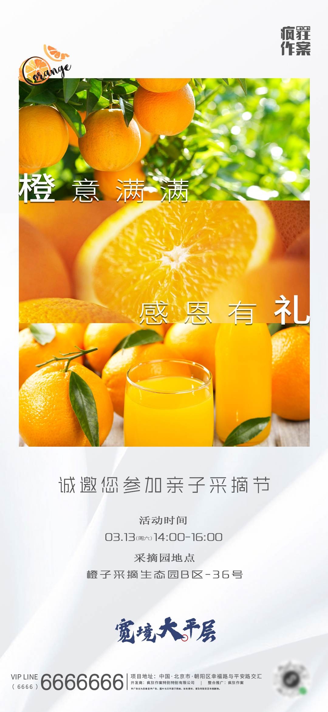 采摘园亲子采摘节橙子采摘活动