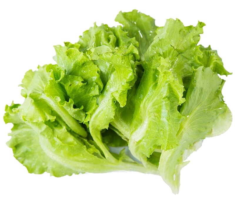 火锅食材鲜肉蔬菜免抠元素 JPG (1)