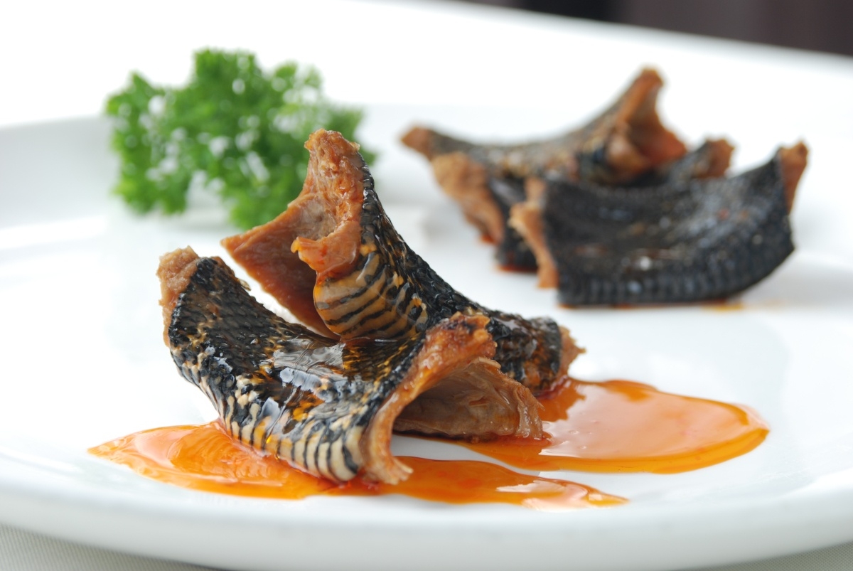 红运霸王蛇高清图片