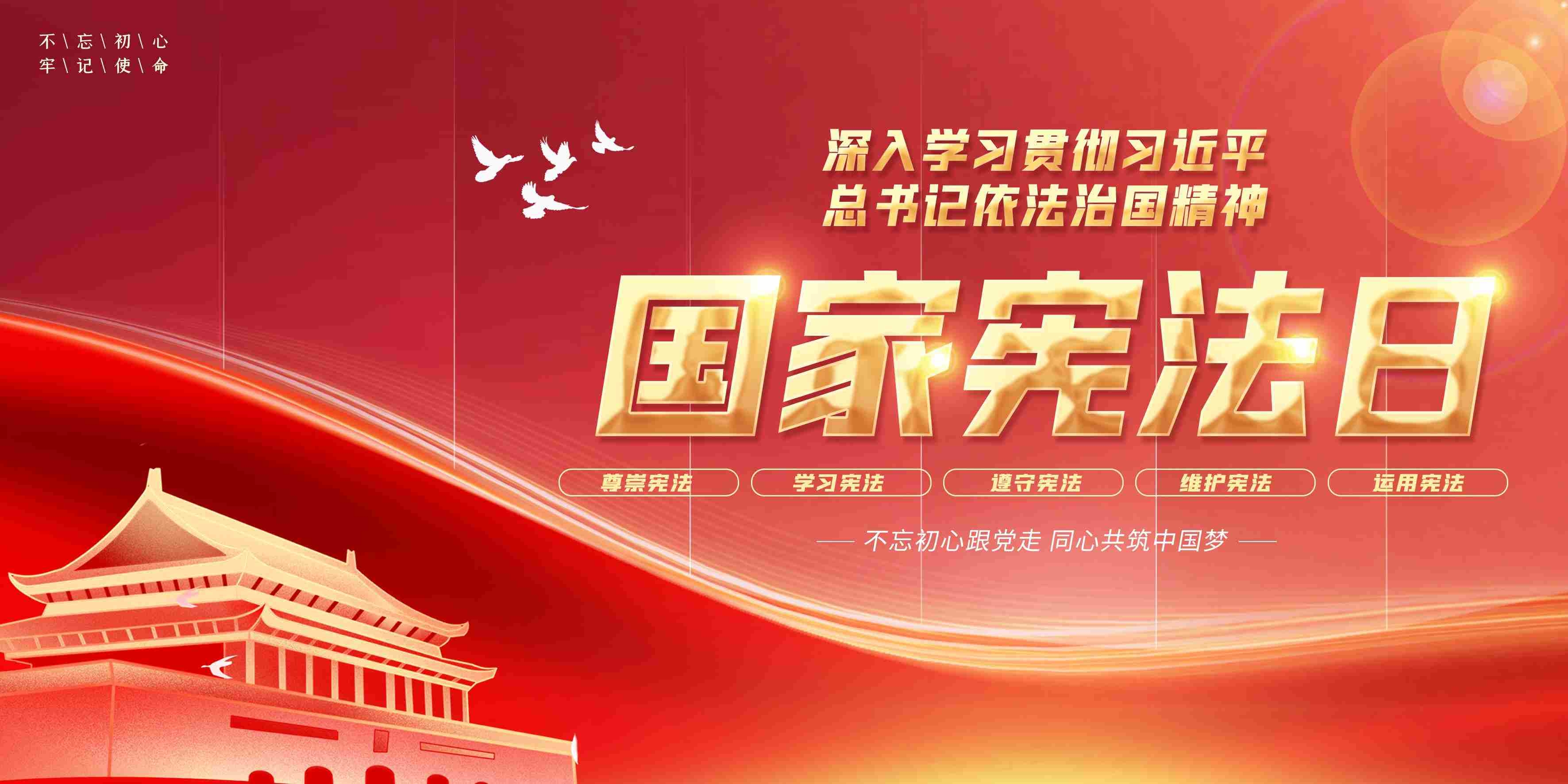 国家宪法宣传周宪法日展板党建展板