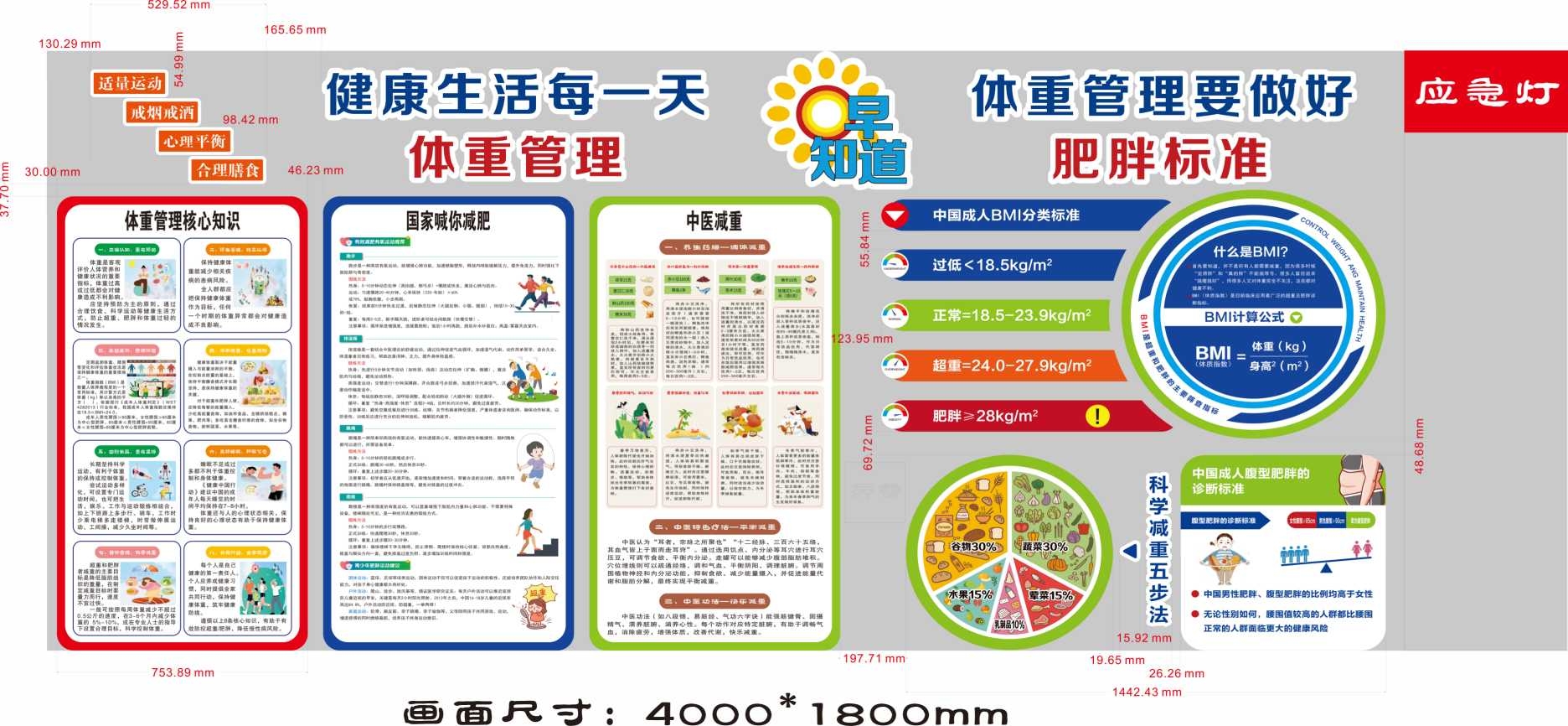 科学减肥体重管理文化墙肥胖标准健康宣传栏