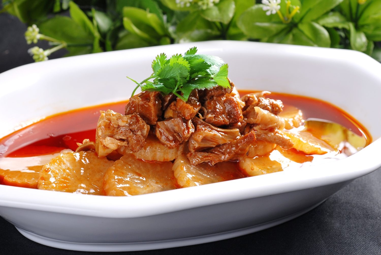 高清图片餐饮美食川菜萝卜烧牛腩高清图片442