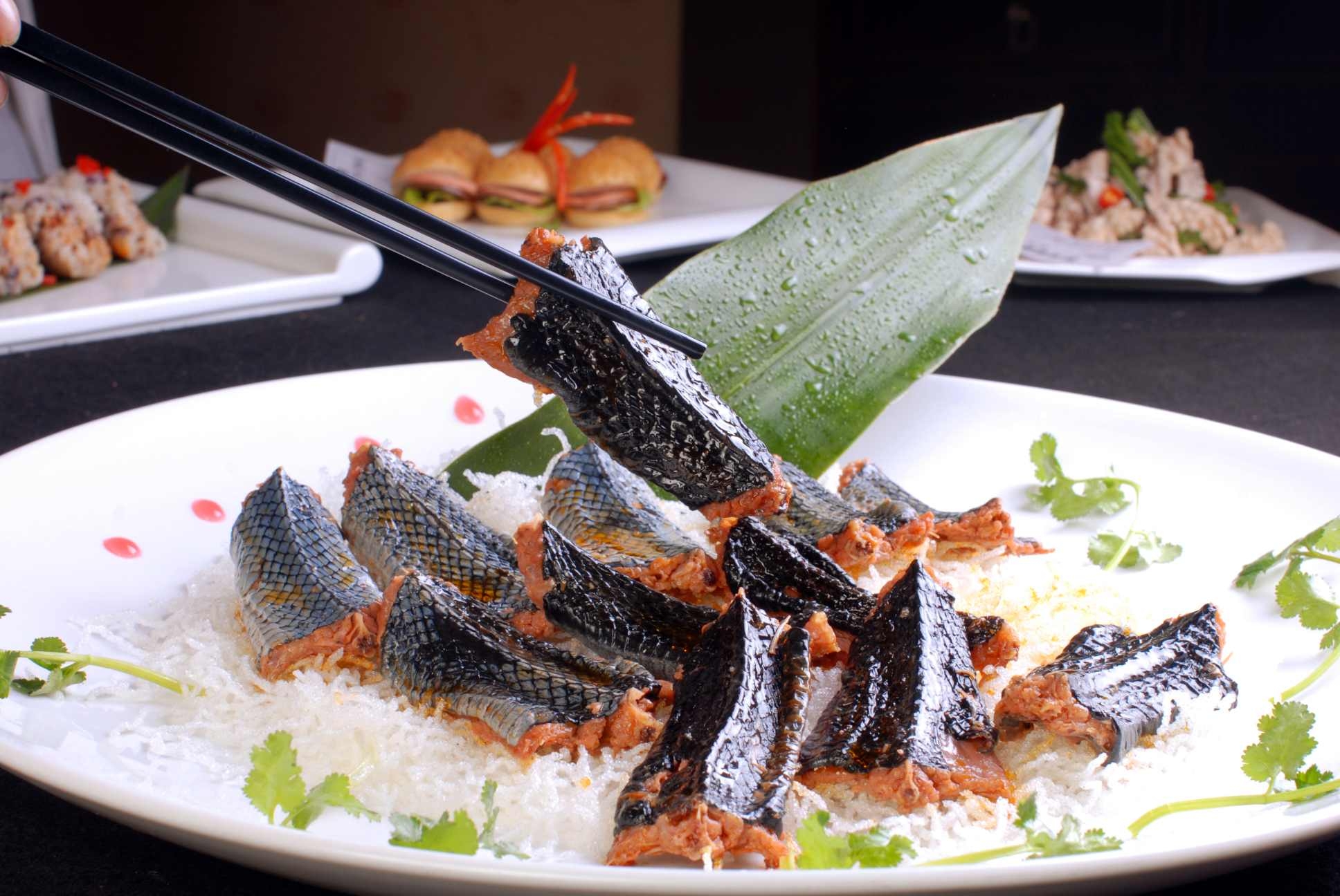 高清图片餐饮美食川菜秘制油卤蛇高清图片