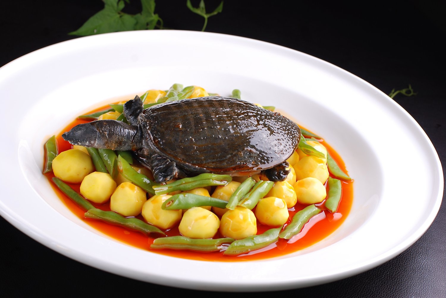 秘制甲鱼高清图片