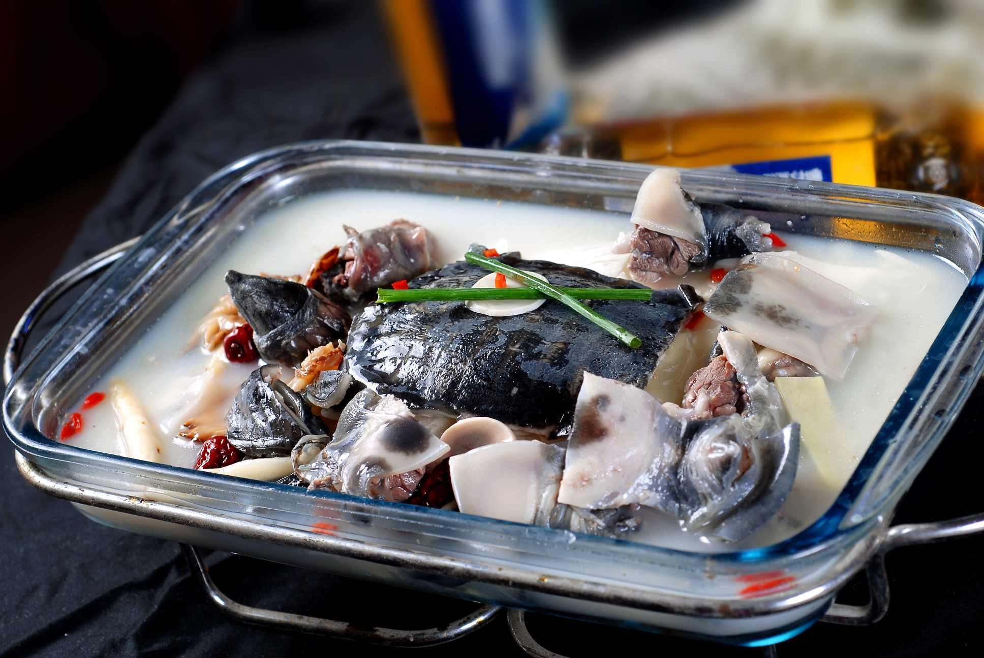 明炉明炉甲鱼高清图片