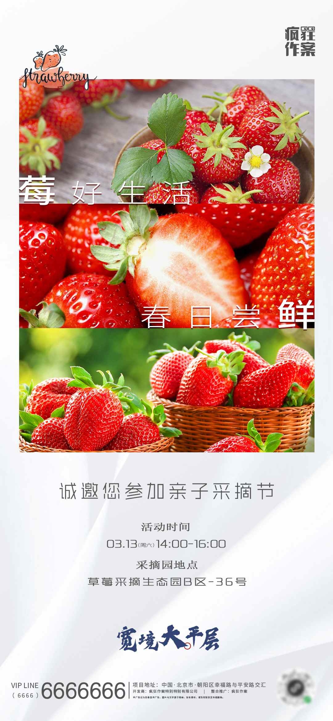 采摘园亲子采摘节草莓采摘活动