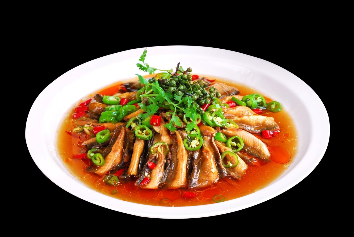 热吊口泥鳅高清图片