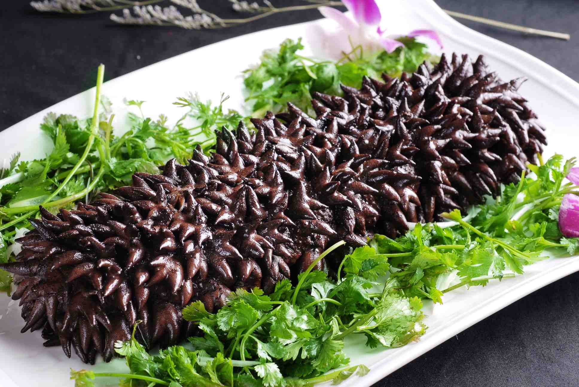 高清图片餐饮美食川菜梅花参葱烧高清图片