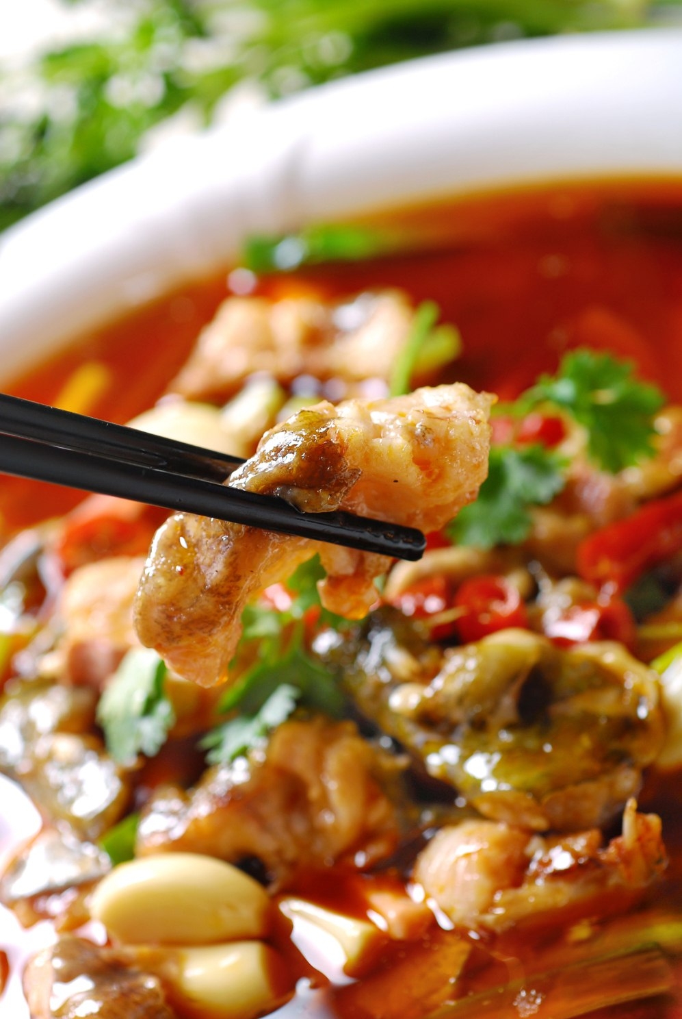 高清图片餐饮美食川菜热家常大口鲢高清图片