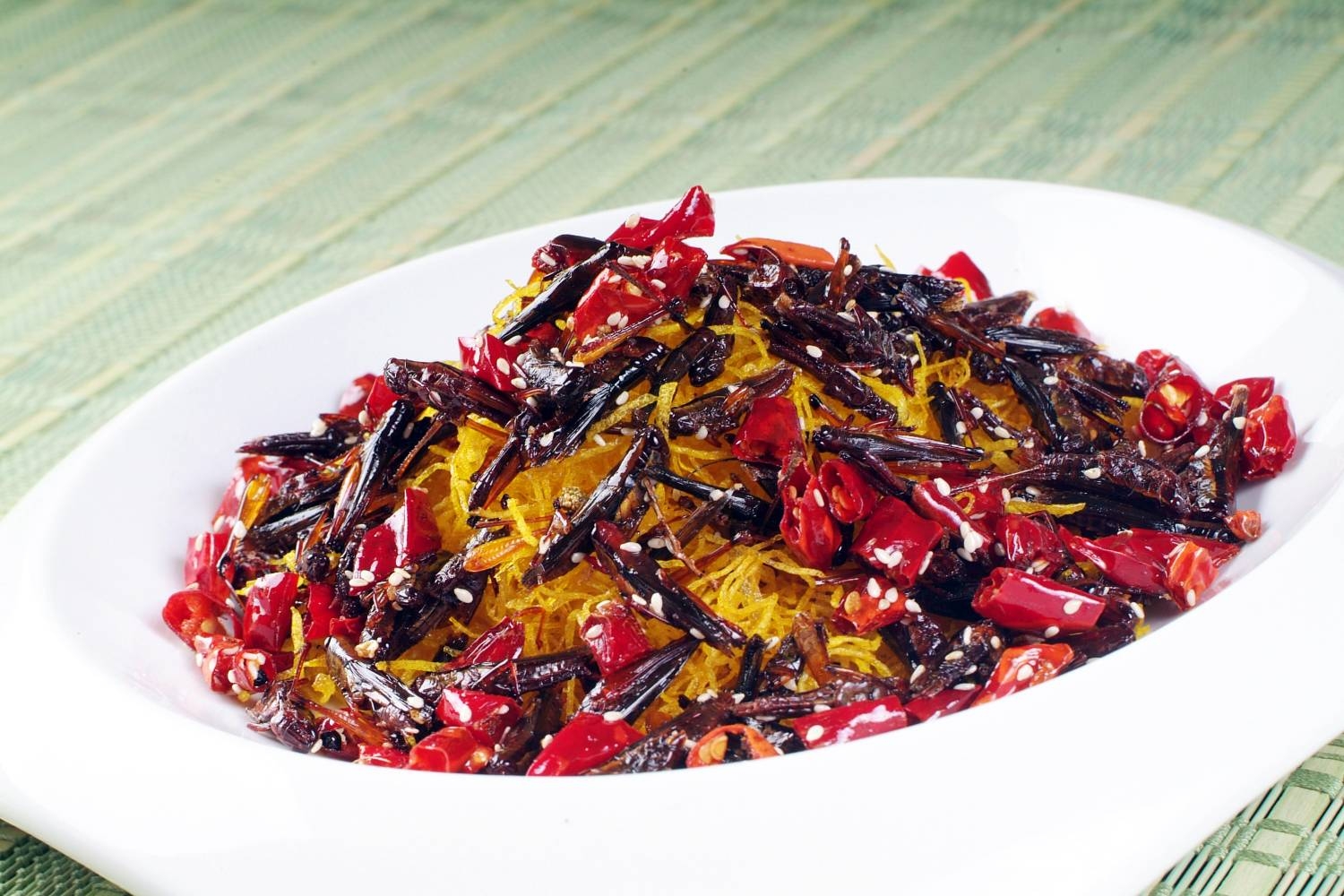 金山蚂蚱高清图片