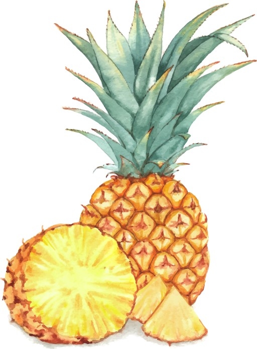 卡通凤梨卡通菠萝免抠透明素材设计图 (15)