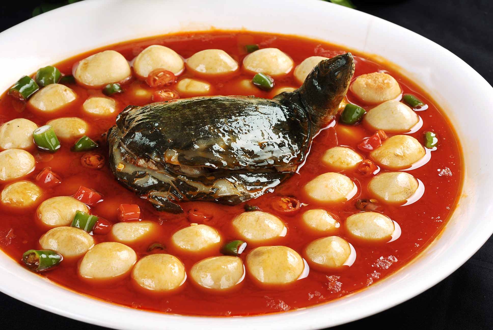 餐饮美食川菜芋儿烧甲鱼高清图片