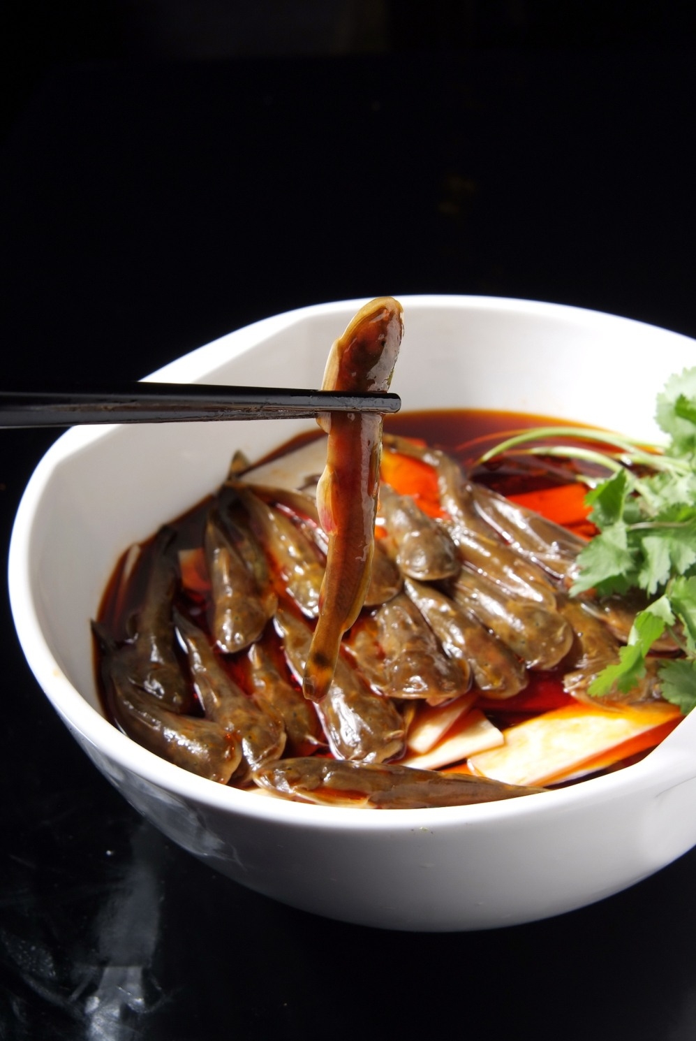 餐饮美食川菜飘香生态石爬子高清图片