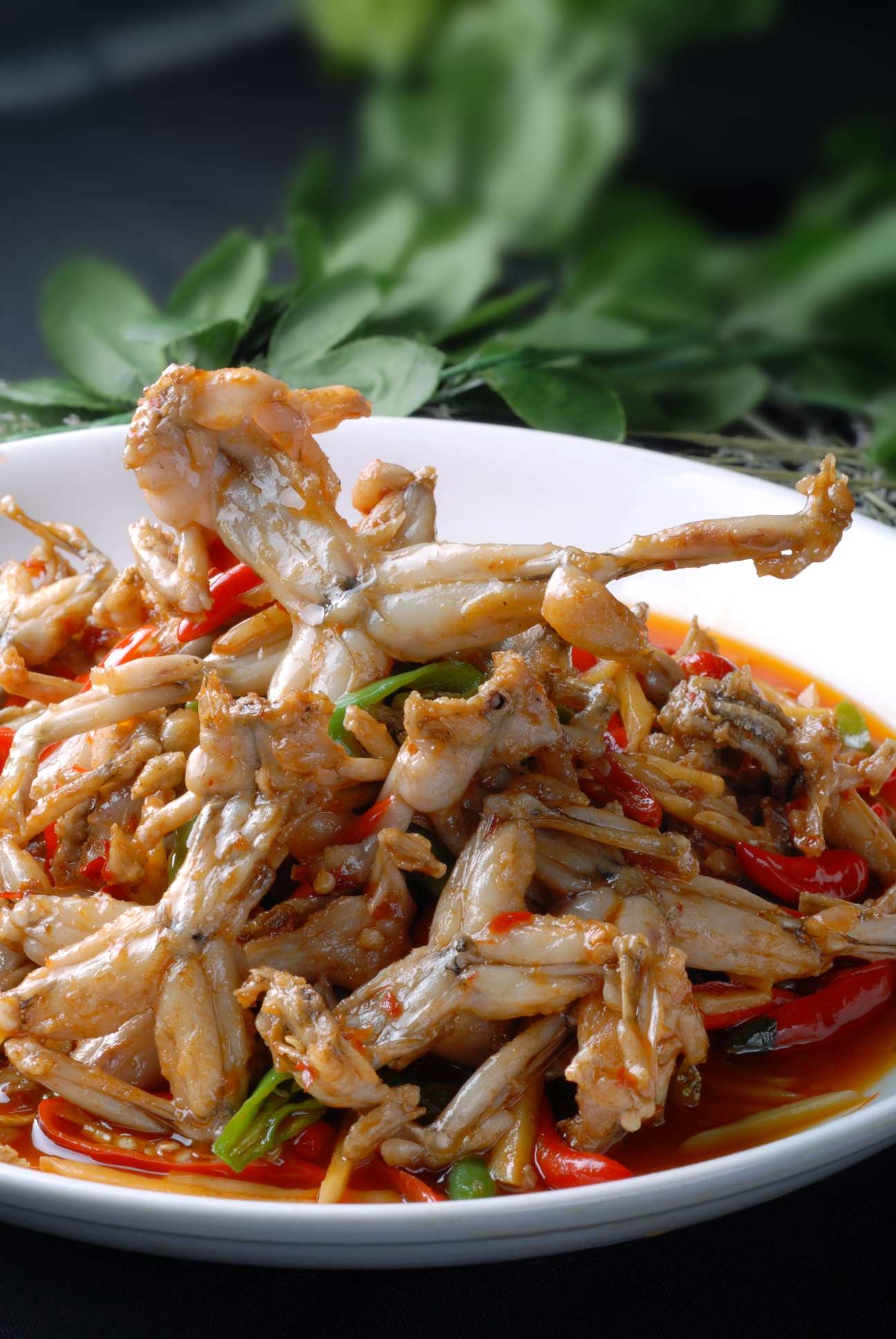 仔姜美蛙高清图片