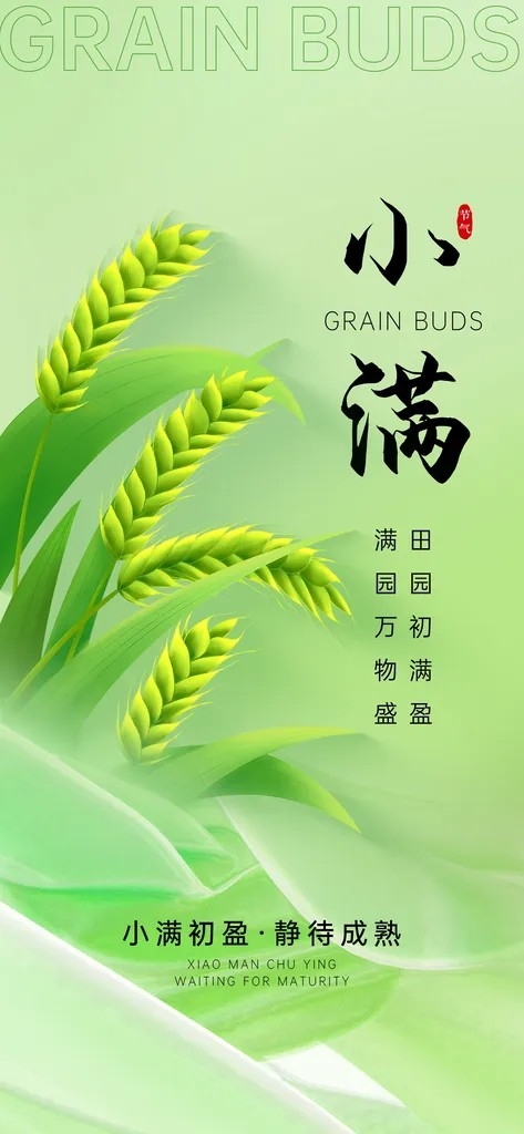 二十四节气小满时节五月夏日夏天宣传海报