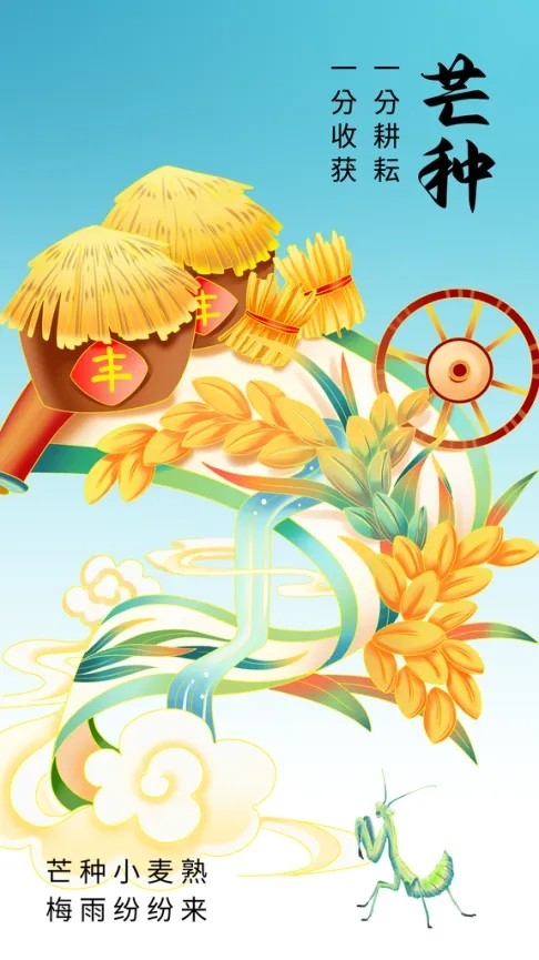芒种节气夏天6月夏季稻穗麦田宣传海报