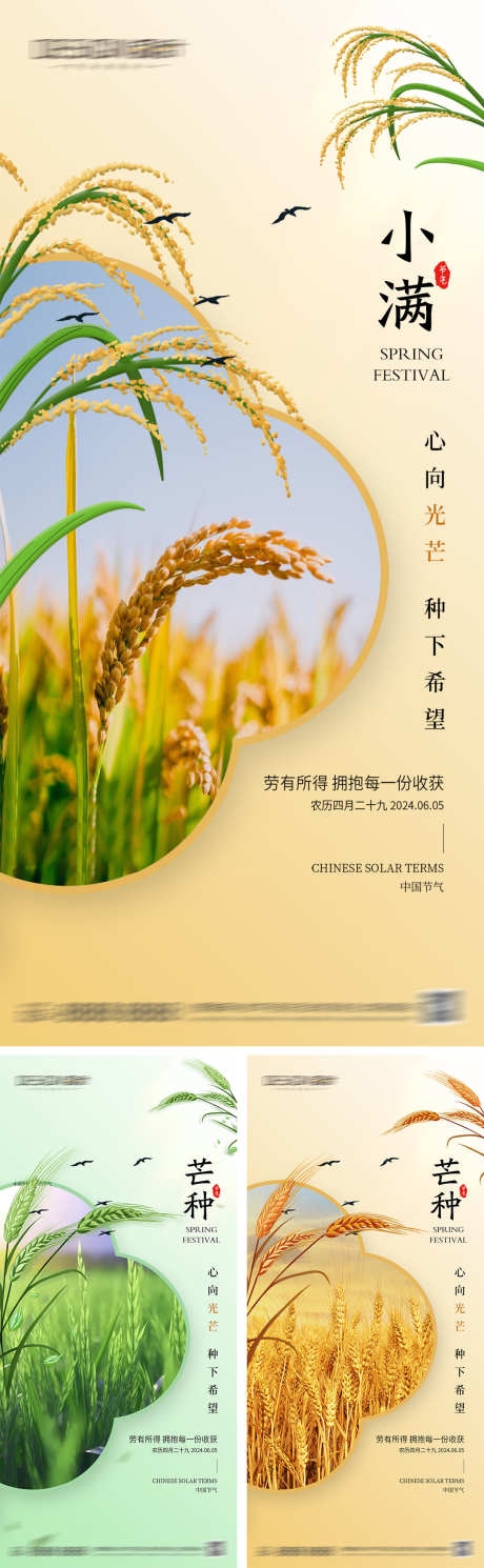 二十四节气小满芒种节气海报