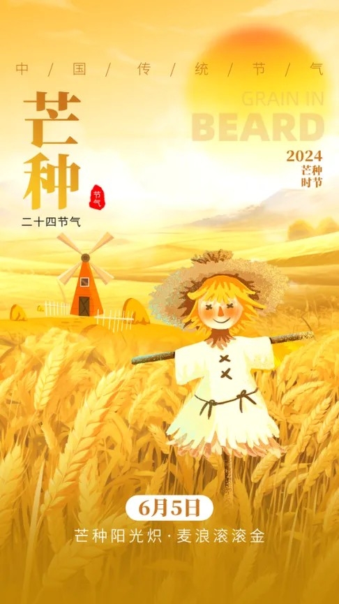 芒种节气夏天6月夏季稻穗麦田宣传海报