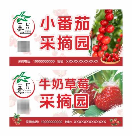 番茄草莓采摘园海报展板CDR