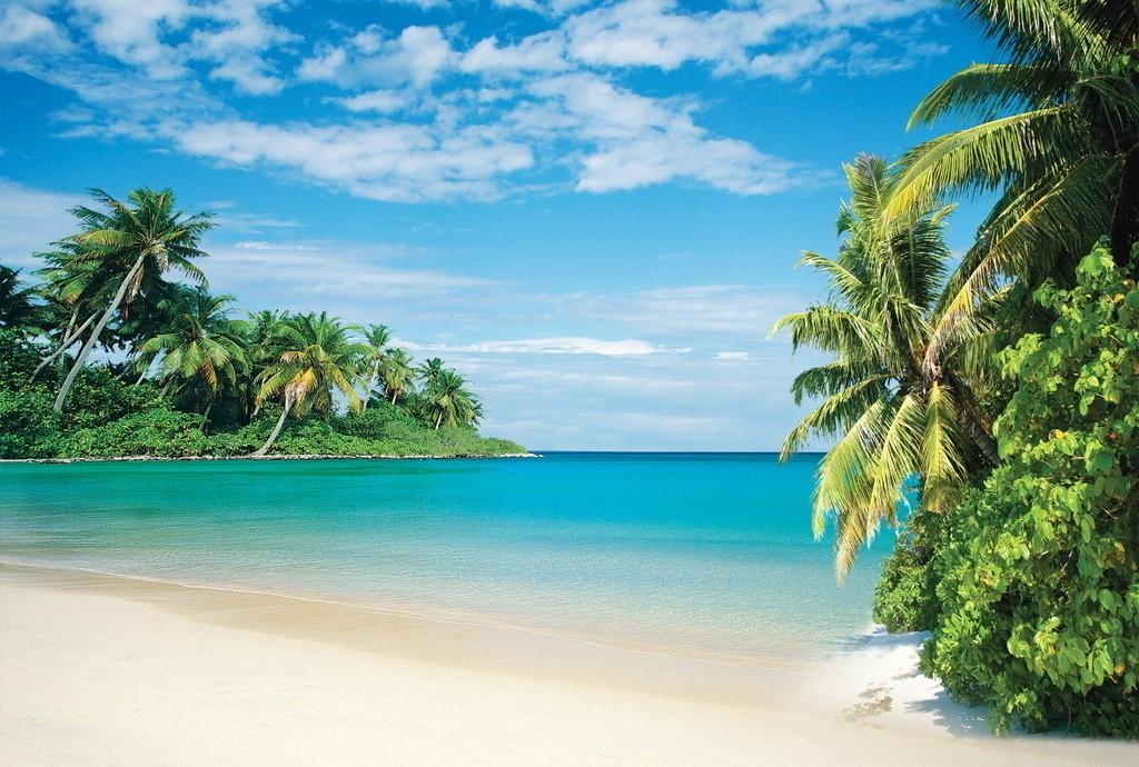 夏日蓝天海滩椰树图片 JPG