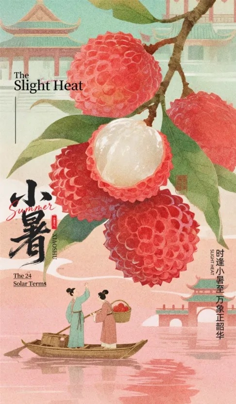 小暑节日荔枝元素唯美简约大气插画节气海报