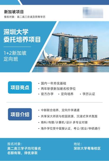 新加坡留学DM单页设计AI