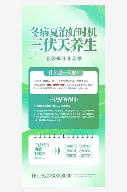 夏季三伏天养生攻略科普海报