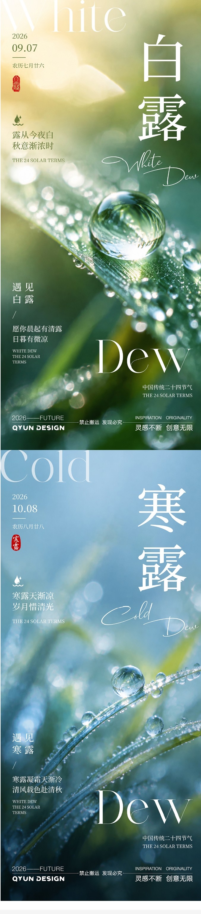 白露寒露节气海报PSD